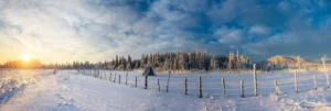 fantastic blue sky snow covered trees crc19feb53a size13.70mb 8000x2703 - title:Home - اورچین فایل - format: - sku: - keywords: p_id:18