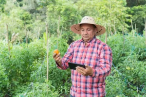 farm laborer using digital tablet plantation rnd595 frp31915955 - title:Home - اورچین فایل - format: - sku: - keywords: p_id:18