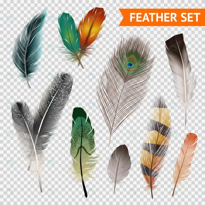 feathers realistic set crca1990507 size13.51mb 1 - title:وکتور نُه پر پرنده در شکل ها و رنگ های مختلف - اورچین فایل - format:EPS - وکتور - sku:crca1990507 - keywords: p_id:51159