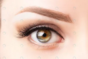 female eye with long eyelashes beautiful makeup l crc3bd64319 size7.10mb 4231x2821 - title:Home - اورچین فایل - format: - sku: - keywords: p_id:18