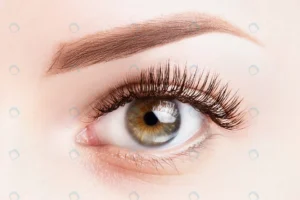 female eye with long eyelashes classic eyelash ex crc902cb00a size9.03mb 4194x2796 - title:Home - اورچین فایل - format: - sku: - keywords: p_id:18