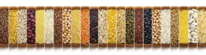 food collage cereals grains seeds top view crc387b3bb5 size12.64mb 7368x2000 - title:Home - اورچین فایل - format: - sku: - keywords: p_id:18