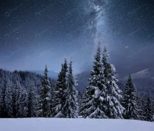 forest mountain ridge covered with snow milky way crcbd31d443 size23.88mb 5600x4762 - title:Home - اورچین فایل - format: - sku: - keywords: p_id:18