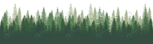 forest panorama view pines spruce nature landscap crcc72c602e size4.94mb - title:Home - اورچین فایل - format: - sku: - keywords: p_id:18