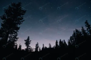 forest starry sky night crc2d47c75f size29.79mb 7952x5304 1 - title:Home - اورچین فایل - format: - sku: - keywords: p_id:18