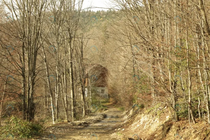 forest with offroad autumn day carpathian mountai crc5e123ece - title:دانلود عکس کلبه کوچک در جنگل پاییزی - اورچین فایل - format:JPG - استوک - sku:crc5e123ece - keywords: p_id:62612