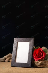 front view empty picture frame with red flower st crc23693122 size10.05mb 3737x5600 - title:Home - اورچین فایل - format: - sku: - keywords: p_id:18