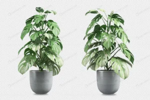 front view monstera plant pot 3d rendering 2 crc49473055 size13.06mb - title:Home - اورچین فایل - format: - sku: - keywords: p_id:18