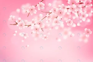 gradient sakura flower branch background crc50f1d210 size23.21mb - title:Home - اورچین فایل - format: - sku: - keywords: p_id:18