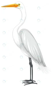 great egret cartoon style white background crc74316397 size1.21mb - title:Home - اورچین فایل - format: - sku: - keywords: p_id:18