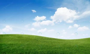 green grass hill blue sky crc21241e86 size26.09mb 7000x4195 - title:Home - اورچین فایل - format: - sku: - keywords: p_id:18