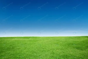 green grass texture with blang copyspace against crc6e9cdea8 size23.89mb 6720x4480 - title:Home - اورچین فایل - format: - sku: - keywords: p_id:18