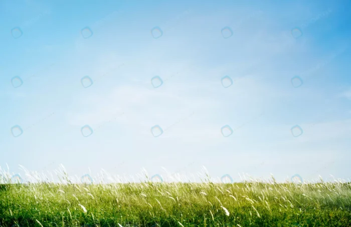 green grassy park field outdoors concept crc93fb6aac - title:عکس با کیفیت از دشت سبز - اورچین فایل - format:JPG - استوک - sku:crc93fb6aac - keywords: p_id:59073