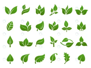 green leaves logo plant nature eco garden stylized rnd449 frp7396756 - title:Home - اورچین فایل - format: - sku: - keywords: p_id:18