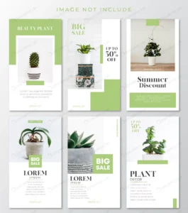 green plant instagram stories template crc4cdde8bf size8.59mb - title:Home - اورچین فایل - format: - sku: - keywords: p_id:18