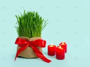 green wheat sprouts nowruz holiday traditional ce crc67b50903 size5.63mb 4592x3448 - title:Home - اورچین فایل - format: - sku: - keywords: p_id:18