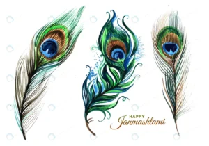 hand draw peacock feathers set design crc1864c5eb size8.28mb - title:Home - اورچین فایل - format: - sku: - keywords: p_id:18