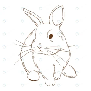 hand drawn bunny outline illustration crcd30b920d size1.11mb - title:Home - اورچین فایل - format: - sku: - keywords: p_id:18