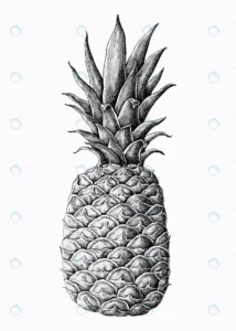 hand drawn fresh pineapple vector crc84f73f5b size18.27mb 1 - title:Home - اورچین فایل - format: - sku: - keywords: p_id:18