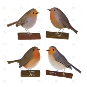 hand drawn robin set crc8f733576 size3.12mb 1 - title:Home - اورچین فایل - format: - sku: - keywords: p_id:18