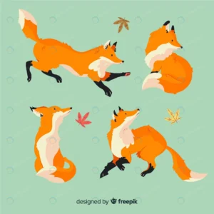 hand drawn wild fox collection crcb7b3ae6b size0.87mb - title:Home - اورچین فایل - format: - sku: - keywords: p_id:18