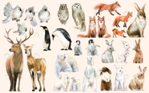 hand drawn wildlife set watercolor style crc699aa146 size9.91mb - title:Home - اورچین فایل - format: - sku: - keywords: p_id:18