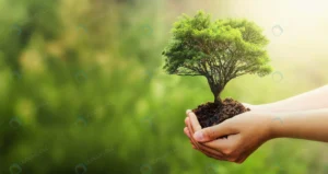 hand holding tree blur green nature crc66480942 size6.15mb 5000x2651 1 - title:Home - اورچین فایل - format: - sku: - keywords: p_id:18