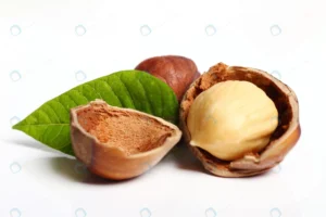 hazelnuts crca46212e6 size5.20mb 5184x3456 - title:Home - اورچین فایل - format: - sku: - keywords: p_id:18