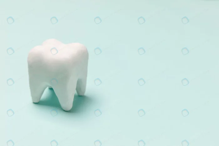 health dental care concept white healthy tooth mo crce1ab8c8e - title:تصویر استوک دندان آسیای سالم و سفید - اورچین فایل - format:JPG - استوک - sku:crce1ab8c8e - keywords: p_id:58413