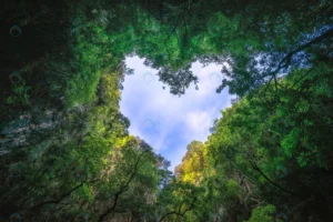 heart shaped photography sky rain forest nature b crcea55dd50 size25.97mb 6000x4000 - title:Home - اورچین فایل - format: - sku: - keywords: p_id:18