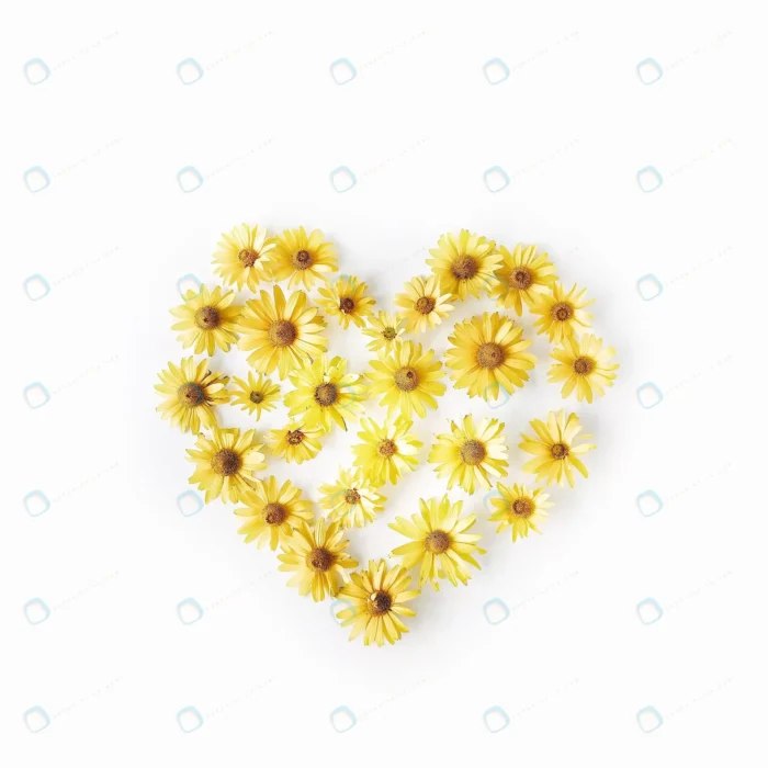 heart symbol made bright yellow daisy white crc0477ef01 - title:استوک طرح قلب با گل دیزی - اورچین فایل - format:JPG - استوک - sku:crc0477ef01 - keywords: p_id:40991