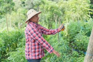 hispanic farm laborer using digital tablet plantat rnd581 frp31915963 - title:Home - اورچین فایل - format: - sku: - keywords: p_id:18