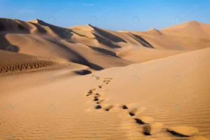 huacachina desert dunes crc4c914997 size11.38mb 5616x3744 - title:Home - اورچین فایل - format: - sku: - keywords: p_id:18