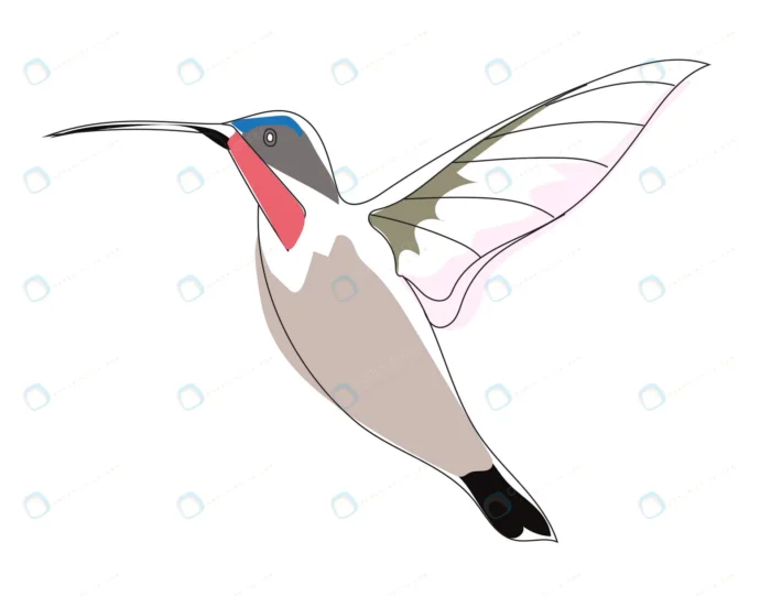 hummingbird art hummingbird logo line art crcb9d2405e size0.99mb - title:لاین آرت مرغ مگس خوار - اورچین فایل - format:EPS - وکتور - sku:crcb9d2405e - keywords: p_id:86901