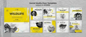 instagram posts collection wildlife environment p crcebb5b782 size495.57mb - title:Home - اورچین فایل - format: - sku: - keywords: p_id:18