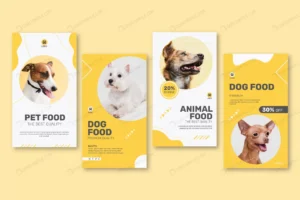 instagram stories collection animal food with dog crcf9dd64c0 size1.79mb - title:Home - اورچین فایل - format: - sku: - keywords: p_id:18