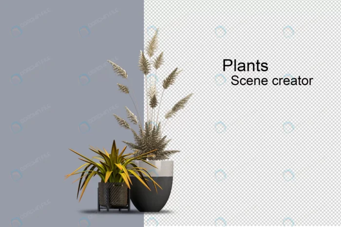 isolated fresh plant wooden basket 11 crc2301d3cf size5.53mb 1 - title:رندر دو گیاه زیبا در سبد های چوبی - اورچین فایل - format:PSD - فتوشاپ - sku:crc2301d3cf - keywords: p_id:50192