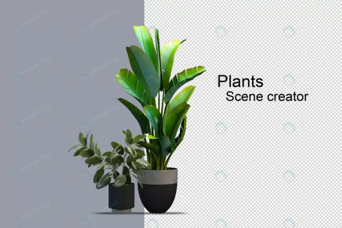 isolated fresh plant wooden basket 19 crcc9ac9c7e size5.56mb 1 - title:رندر درختچه موز و گیاه کوچک تر - اورچین فایل - format:PSD - فتوشاپ - sku:crcc9ac9c7e - keywords: p_id:50371