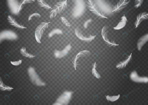 isolated realistic falling feather background whi crce01fcb82 size18.91mb 1 - title:Home - اورچین فایل - format: - sku: - keywords: p_id:18