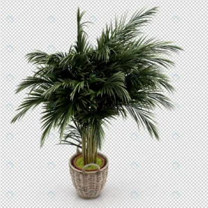 isometric plant 3d rendering 12 crc48a6bba0 size66.16mb - title:Home - اورچین فایل - format: - sku: - keywords: p_id:18