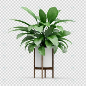 isometric plant 3d rendering 13 crcf0f7c52d size44.81mb 1 - title:Home - اورچین فایل - format: - sku: - keywords: p_id:18