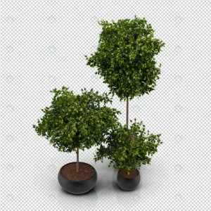 isometric plant 3d rendering 15 crc3a78ba25 size54.94mb - title:Home - اورچین فایل - format: - sku: - keywords: p_id:18