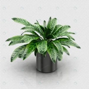 isometric plant 3d rendering 20 crc724feef0 size55.35mb 1 - title:Home - اورچین فایل - format: - sku: - keywords: p_id:18