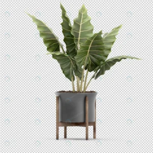 isometric plant 3d rendering 24 crc5fd44e36 size40.07mb - title:Home - اورچین فایل - format: - sku: - keywords: p_id:18