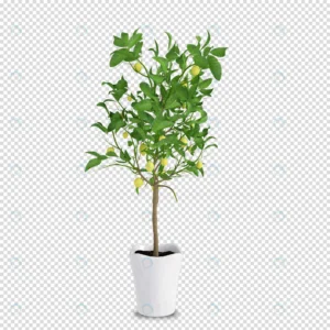 isometric plant 3d rendering 26 crc6e78a810 size4.17mb 1 - title:Home - اورچین فایل - format: - sku: - keywords: p_id:18