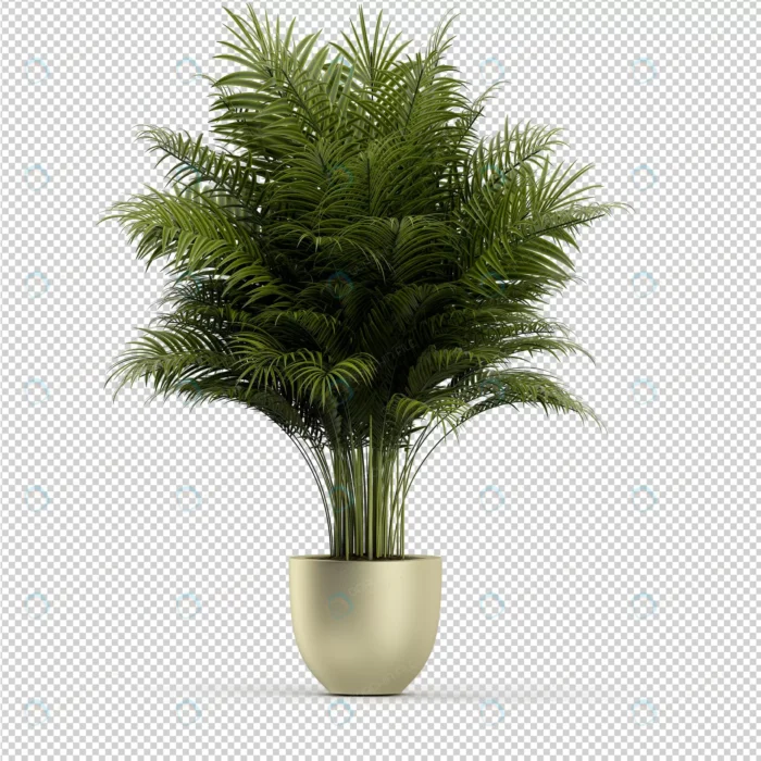 isometric plant 3d rendering 2 crc1525cddb size54.28mb 1 - title:رندر یک نوع گیاه در گلدان بدون بکگراند با فرمت فتوشاپ - اورچین فایل - format:PSD - فتوشاپ - sku:crc1525cddb - keywords: p_id:49954