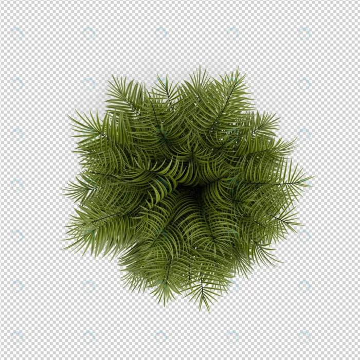 isometric plant 3d rendering 6 crc3a9c1446 size58.91mb 1 - title:رندر نوعی گیاه بدون بک گراند با فرمت فتوشاپ - اورچین فایل - format:PSD - فتوشاپ - sku:crc3a9c1446 - keywords: p_id:50003