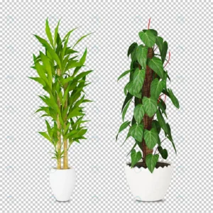 isometric plants 3d rendering crcbb7360b2 size6.47mb - title:Home - اورچین فایل - format: - sku: - keywords: p_id:18