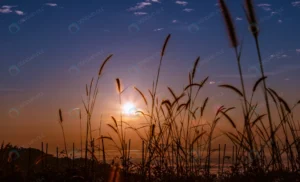 landscape colourful morning time sunrise mist bac crca97562e3 size9.01mb 6037x3656 - title:Home - اورچین فایل - format: - sku: - keywords: p_id:18