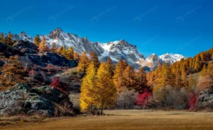 landscape view mountains covered snow autumn tree crcbaa660bf size9.64mb 4745x2915 - title:Home - اورچین فایل - format: - sku: - keywords: p_id:18